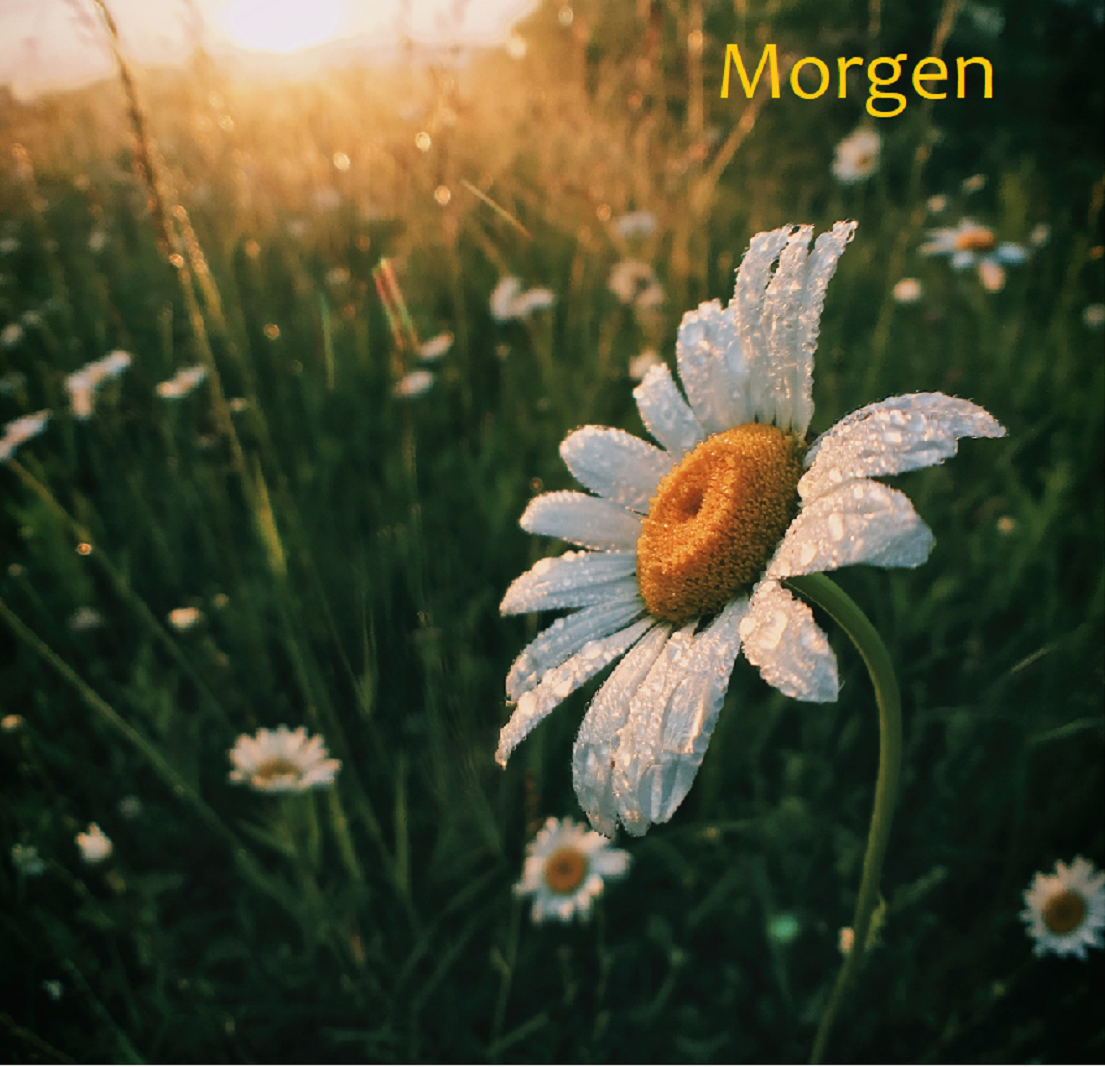 image for Morgen