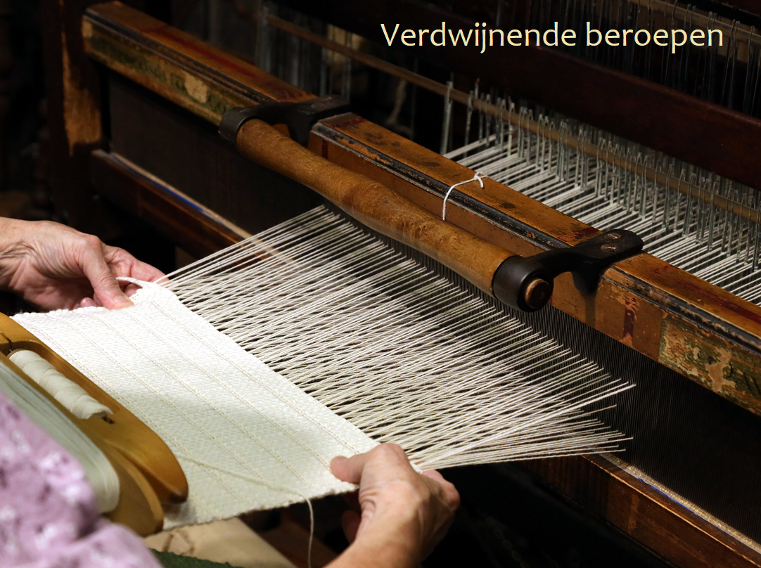 image for Verdwijnende beroepen